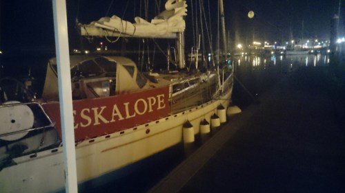 wp-1412888660299.jpg image