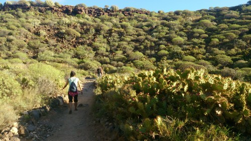 wp-1416331783228 image