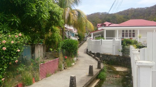 wp-1427824684447 image