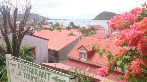 wp-1427824738393 image